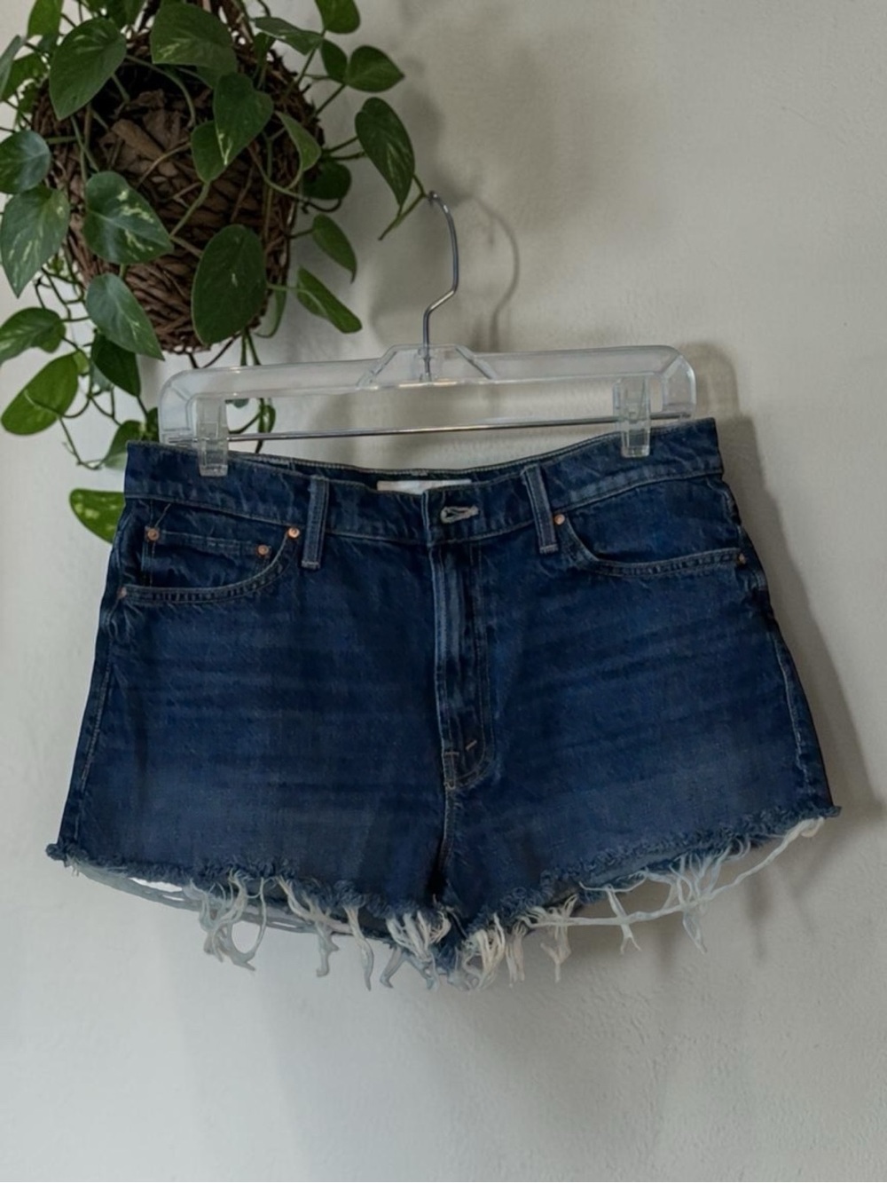 MOTHER Superior The Dodger Short Fray Size 29